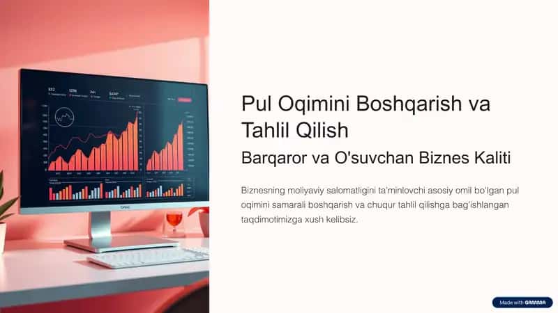 Pul Oqimini Boshqarish va Tahlil Qilish