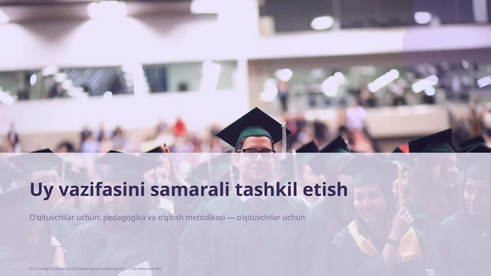 Dars rejasi