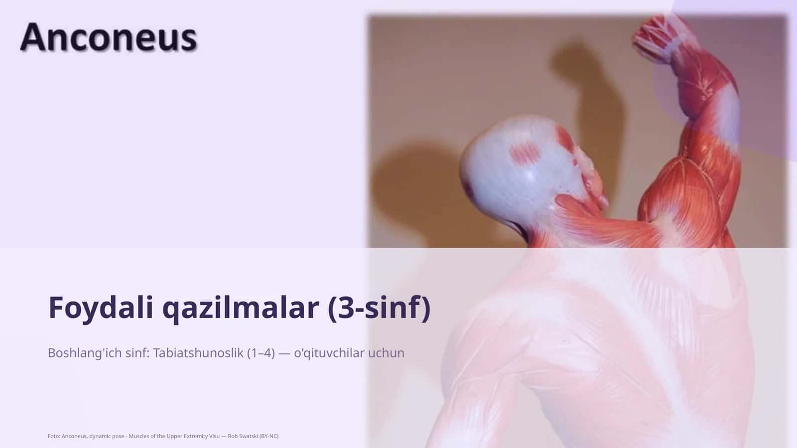 Foydali qazilmalar (3-sinf)