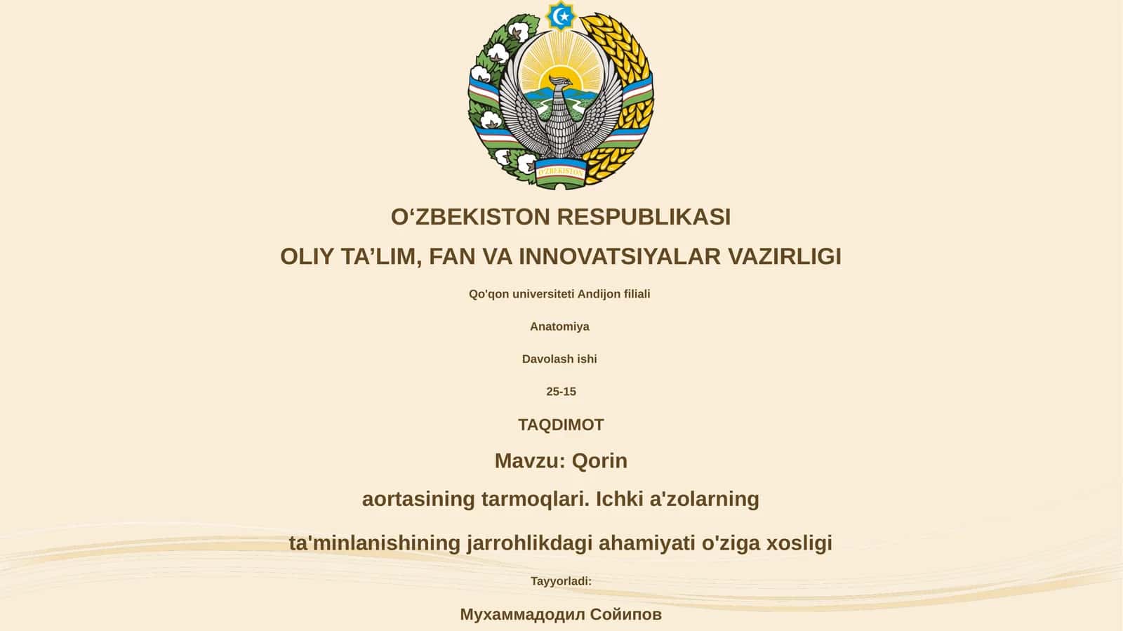 Qorin aortasi