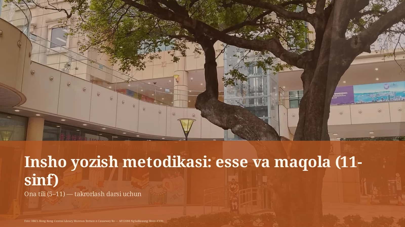 Insho yozish metodikasi: esse va maqola (11-sinf) Ona tili (5– 11) — takrorlash darsi uchun