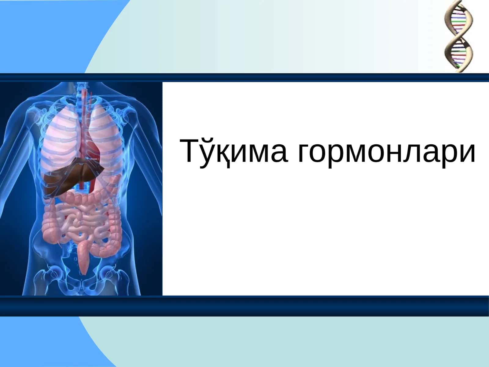 Тўқима гормонлари