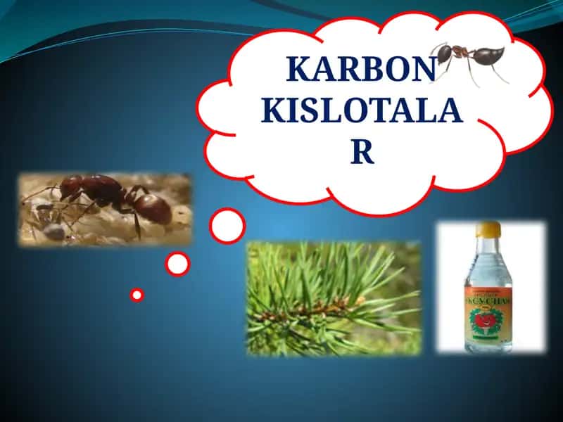 KARBON KISLOTALAR. To’yingan dikarbon kislotalar va ularning hosilalari.