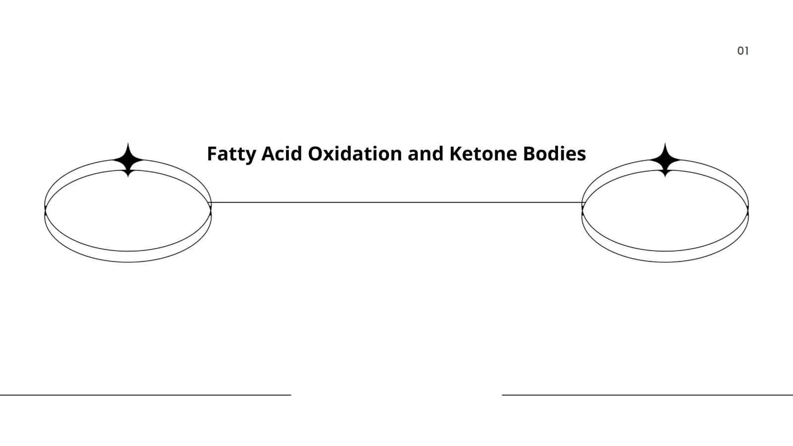 Fatty Acid Oxidation and Ketone Bodies