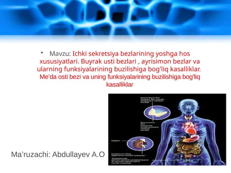 Ichkisekretsiyabezlariningyoshgahosxususiyatlari