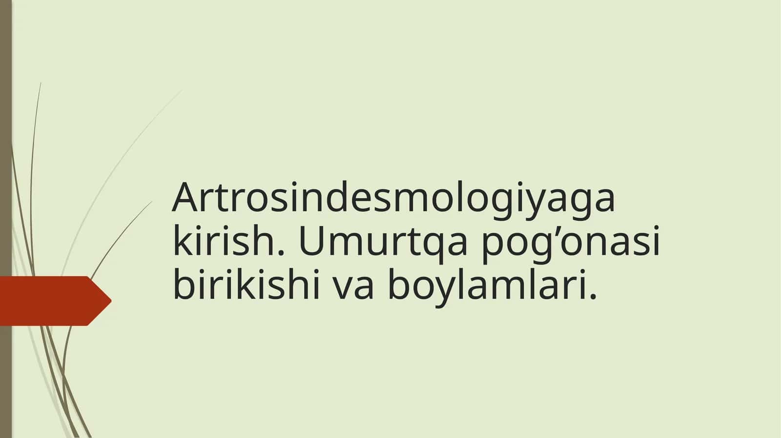Artrosindesmologiyaga kirish. Umurtqa pog’onasi birikishi va boylamlari