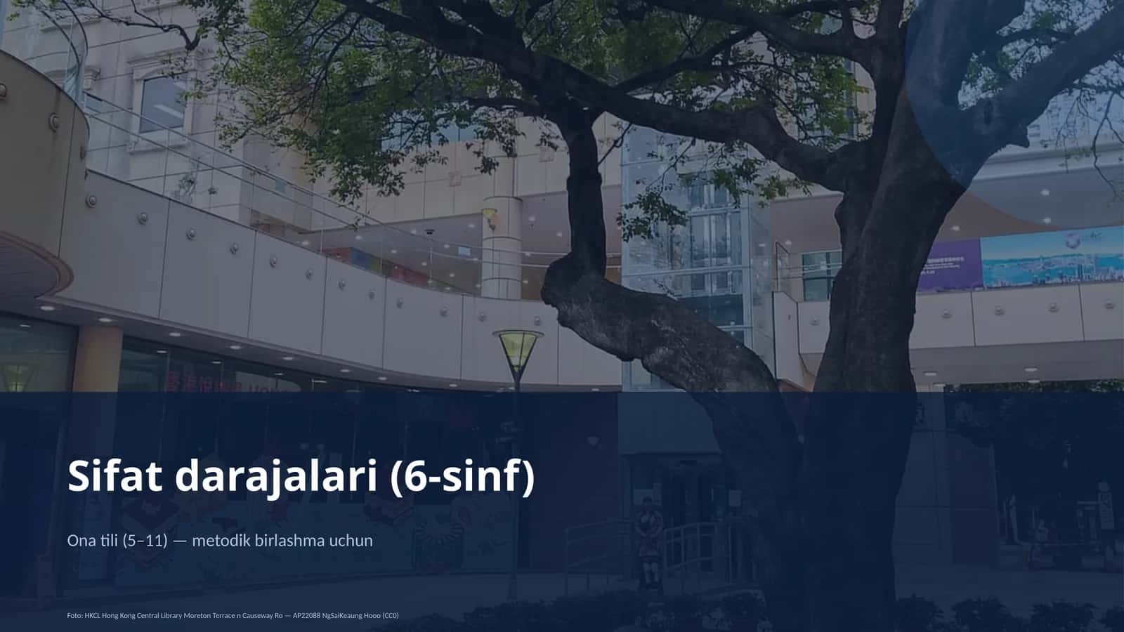 Sifat darajalari (6-sinf)