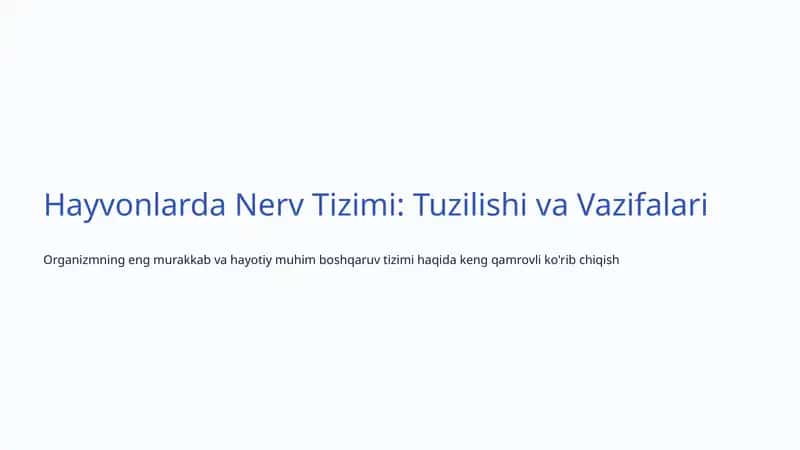 Nerv Tizimi: Tuzilishi va Vazifalari