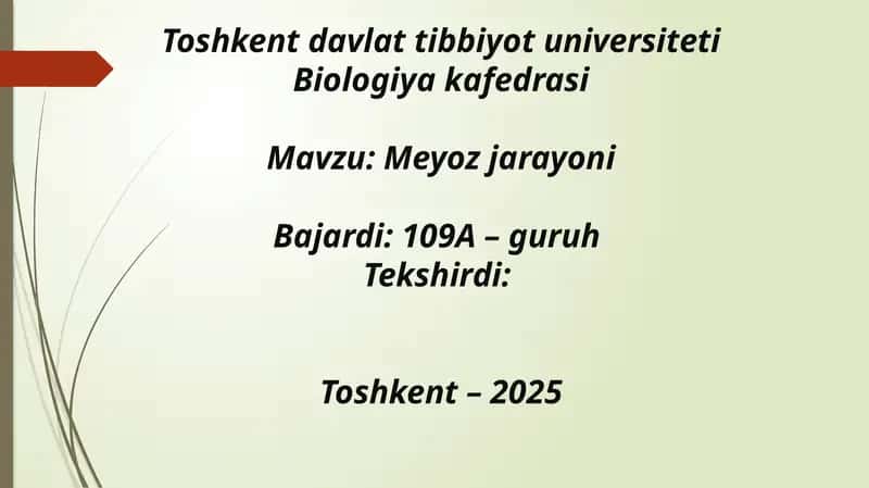 Meyoz jarayoni