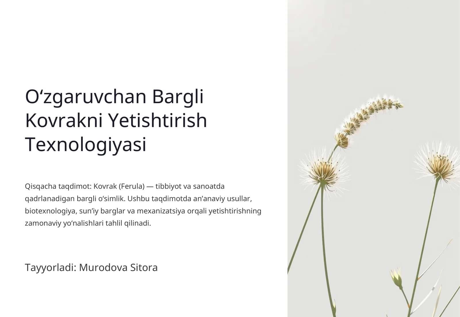 Oʻzgaruvchan Bargli Kovrakni Yetishtirish Texnologiyasi