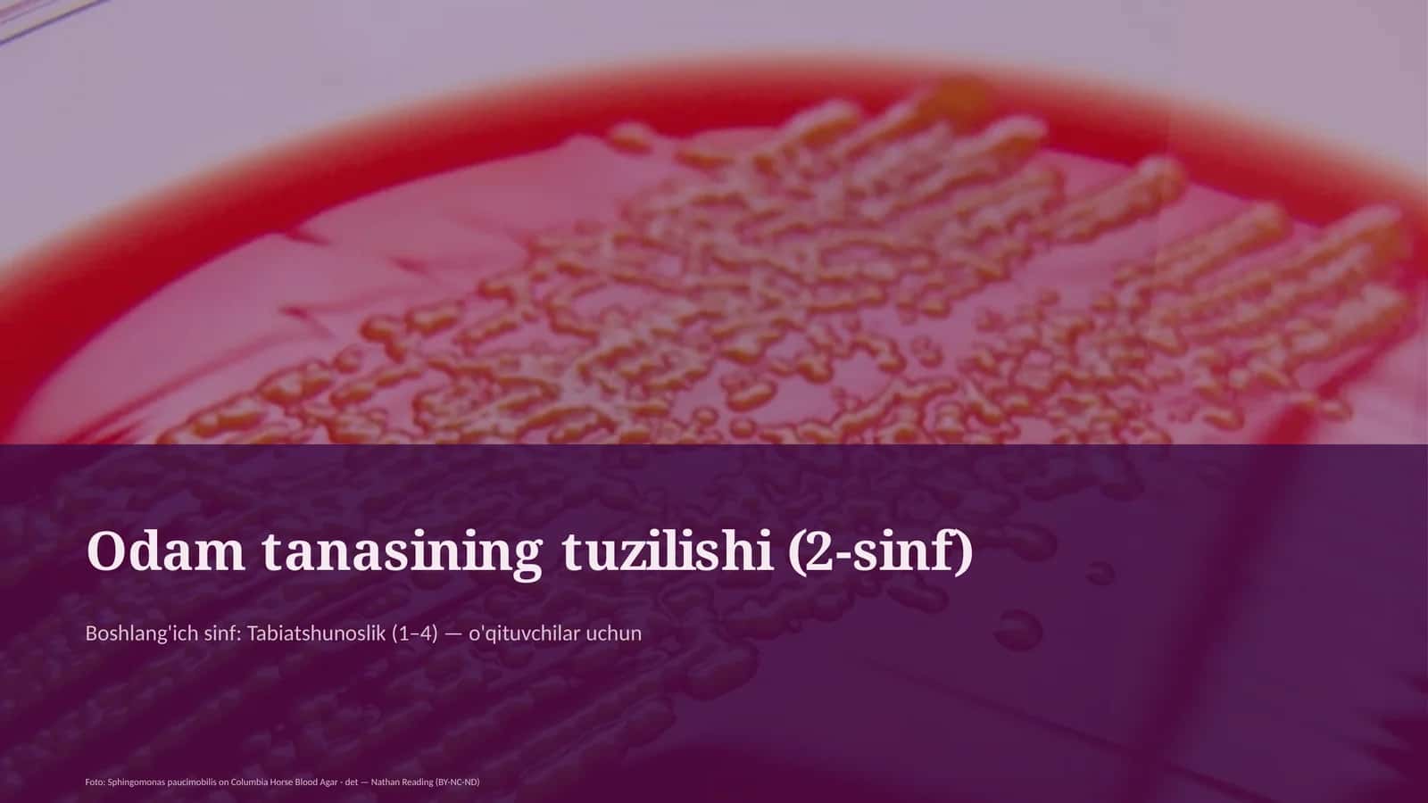 Odam tanasining tuzilishi (2-sinf)