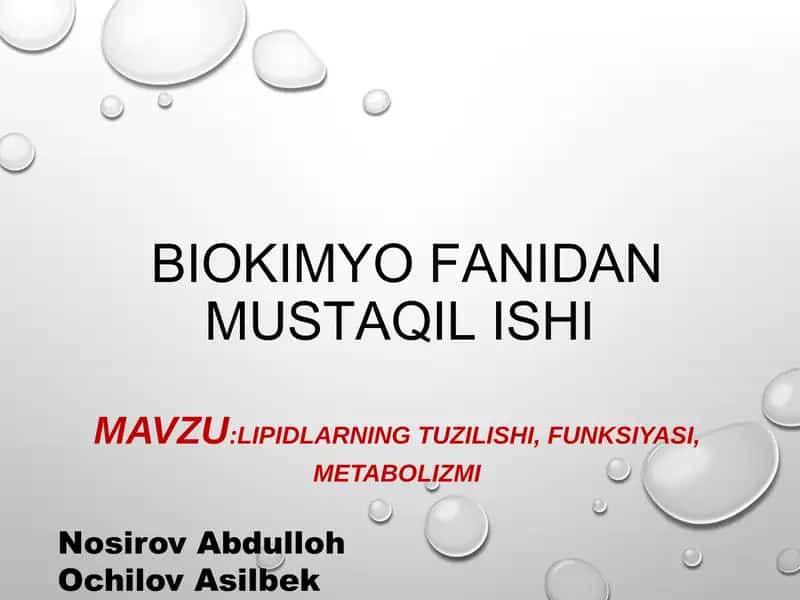 Lipidlar almashinuvi