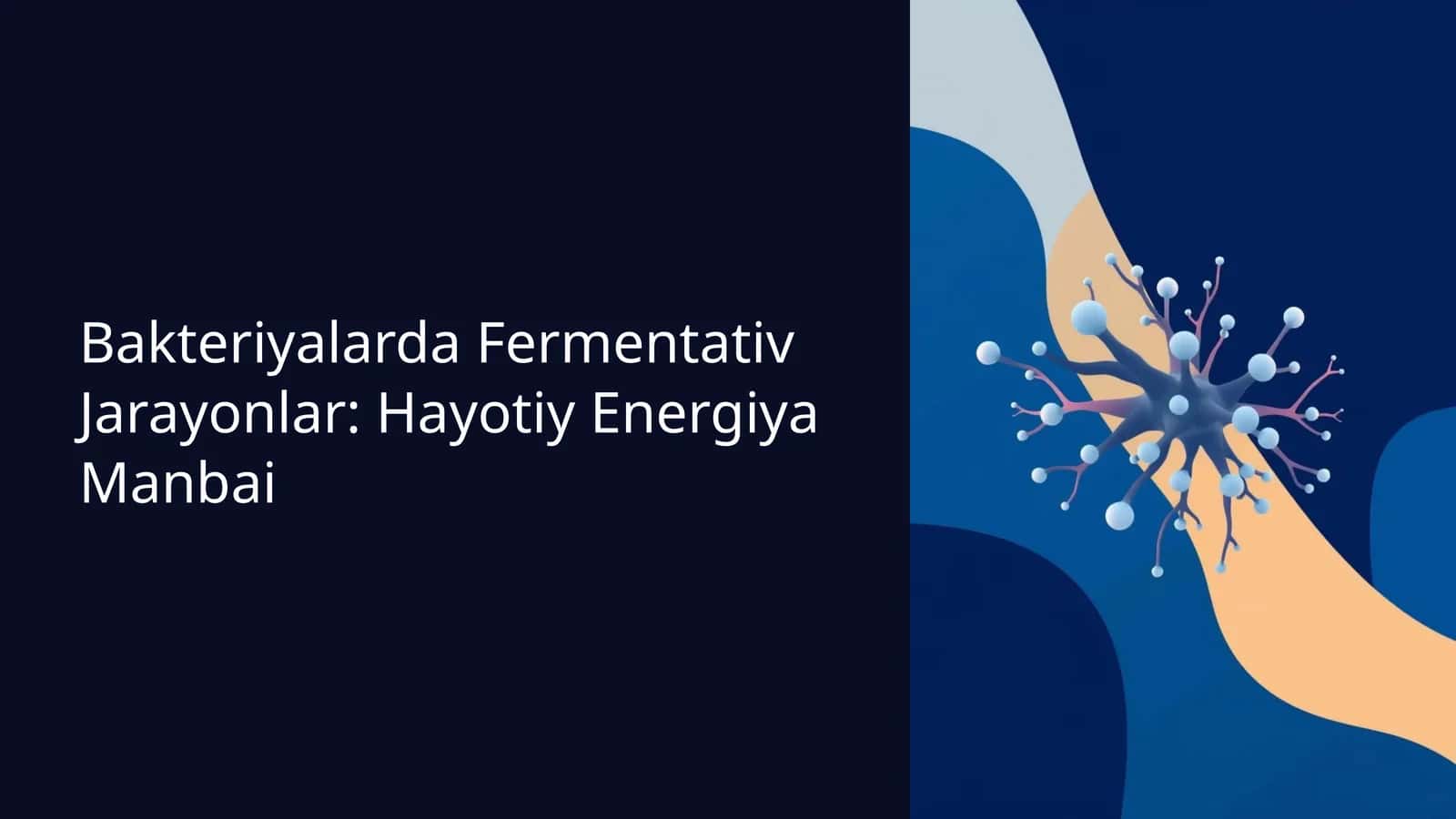 Bakteriyalarda Fermentativ Jarayonlar: Hayotiy Energiya Manbai
