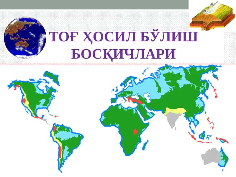 ТОҒ ҲОСИЛ БЎЛИШ БОСҚИЧЛАРИ