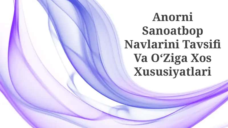 Anorni Sanoatbop Navlarini Tavsifi Va OʻZiga Xos Xususiyatlari