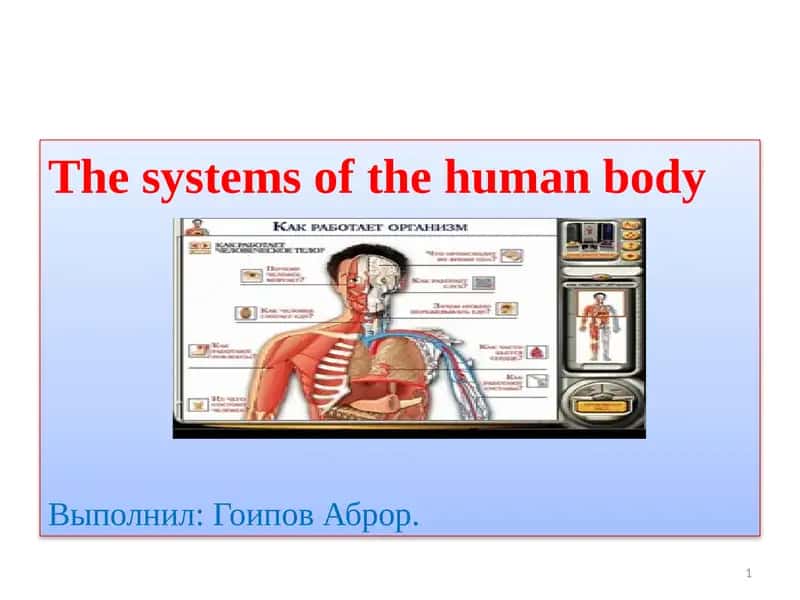 Thesystems of the humanbody