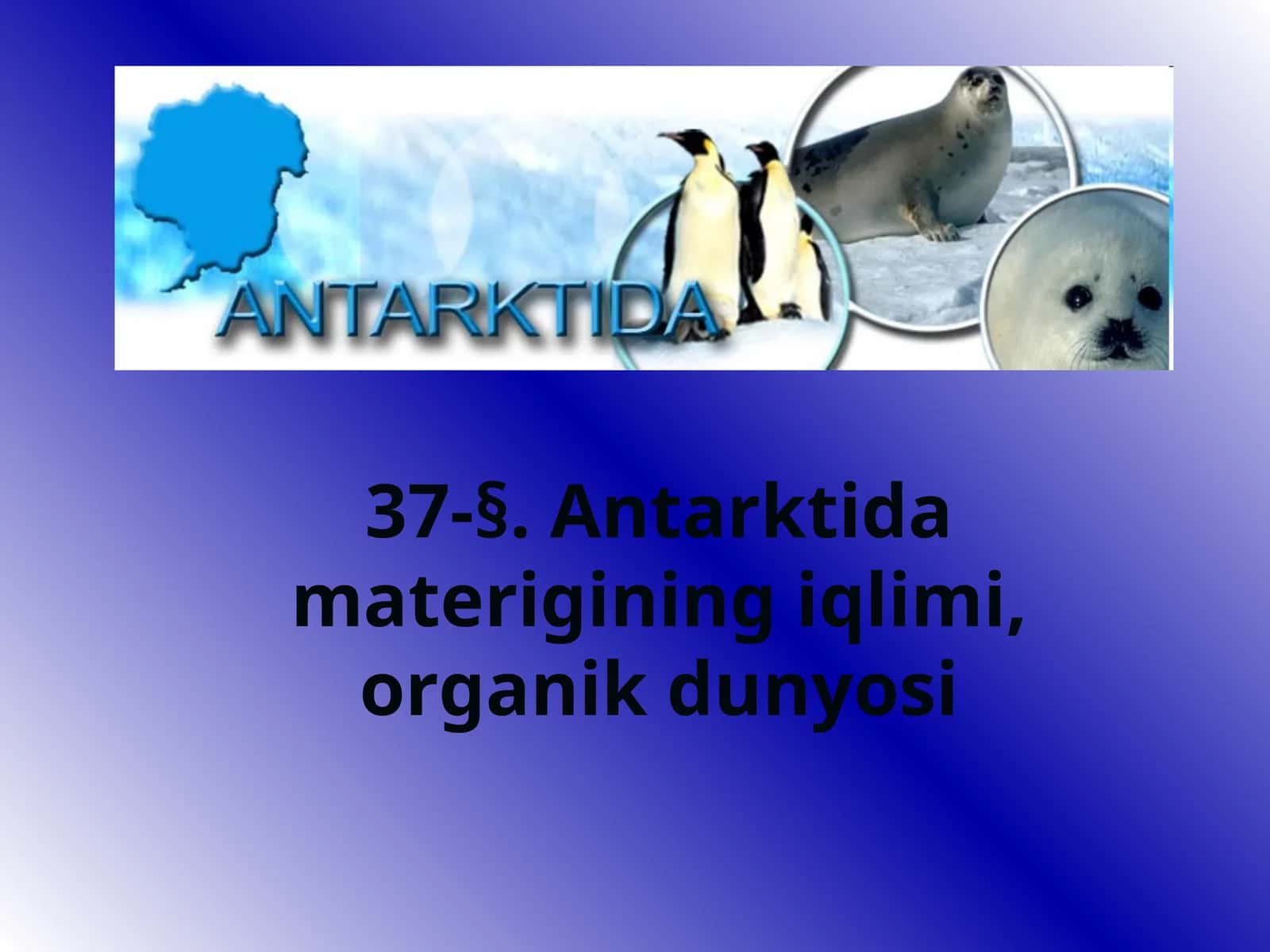 Antarktida materigining iqlimi, organik dunyosi