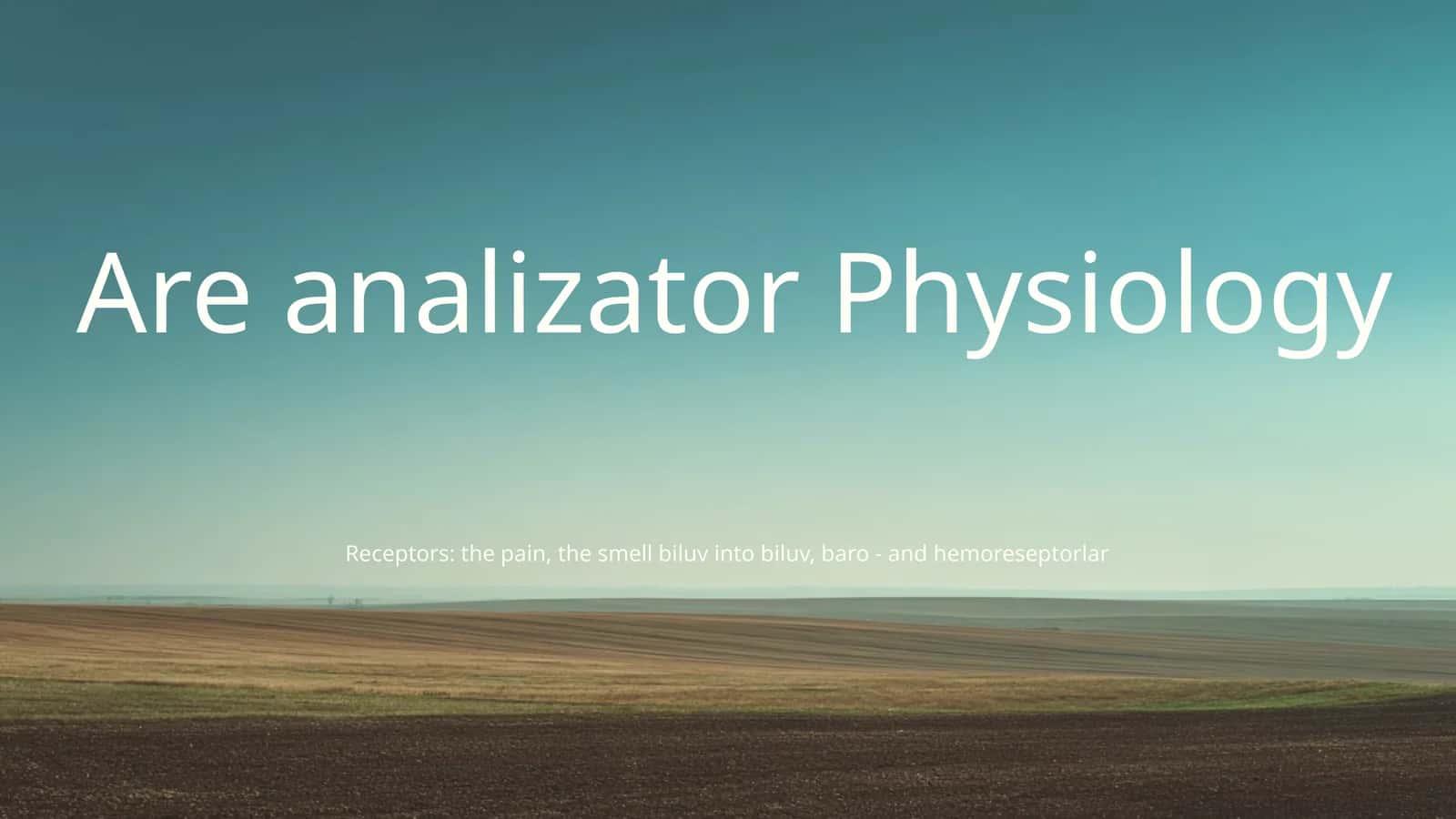 Analizator system