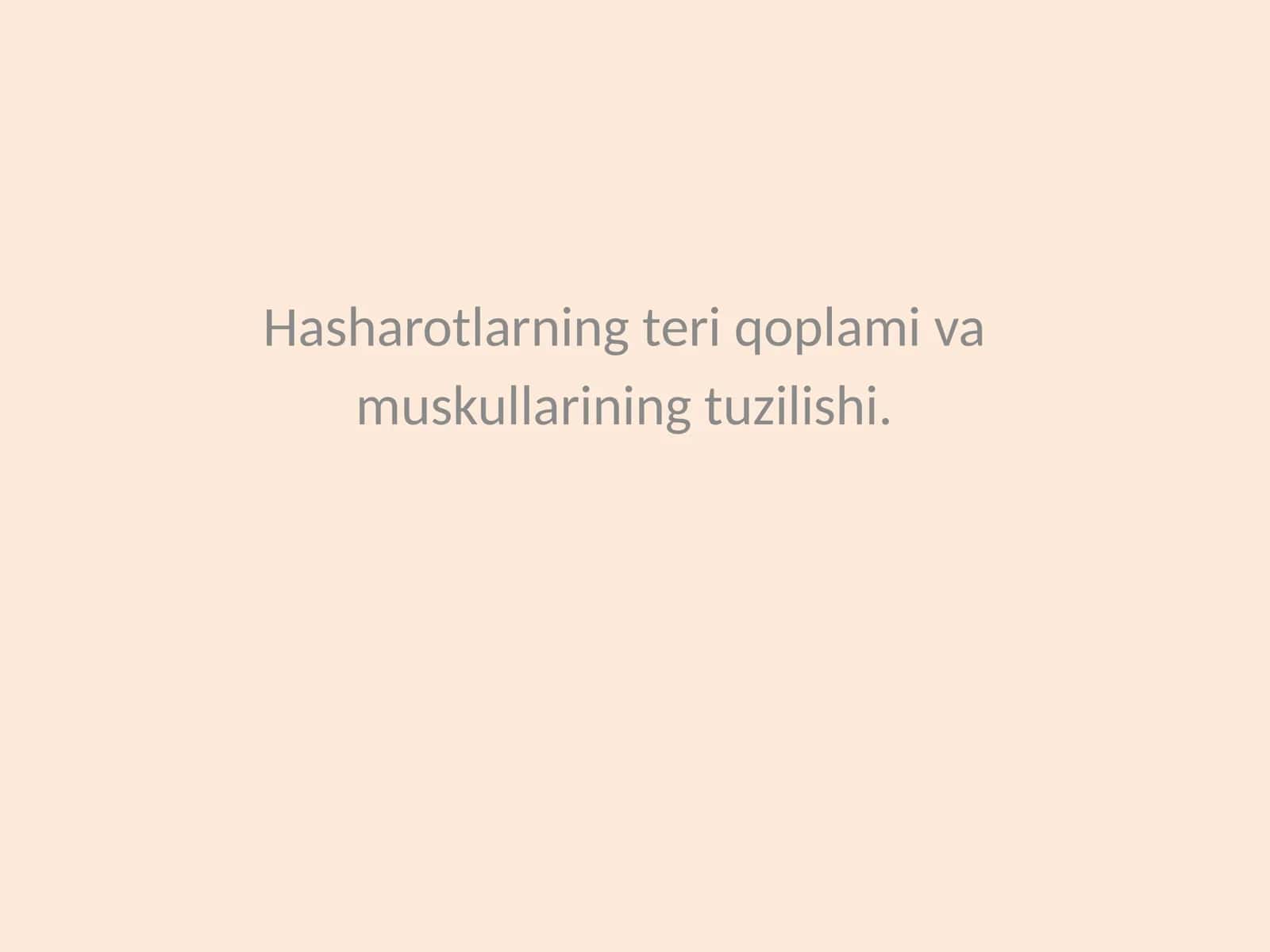 Hasharotlarning teri qoplami va muskullarining tuzilishi