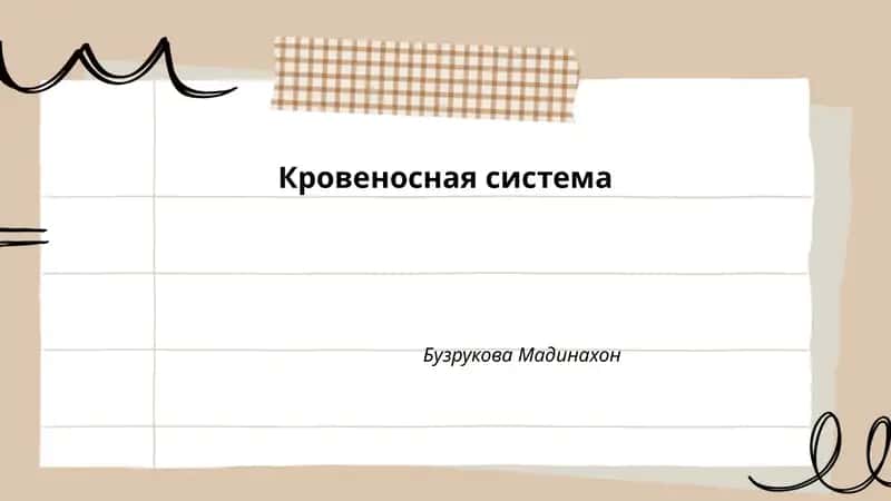 Кровеносная система