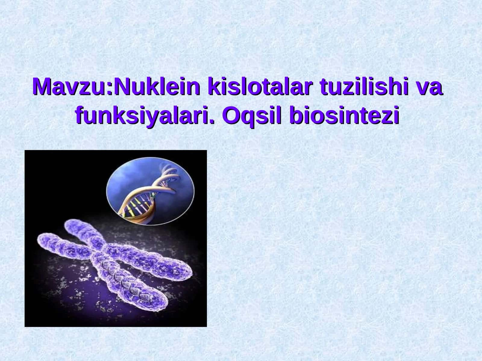 Nuklein kislotalar tuzilishi va funksiyalari. Oqsil biosintezi