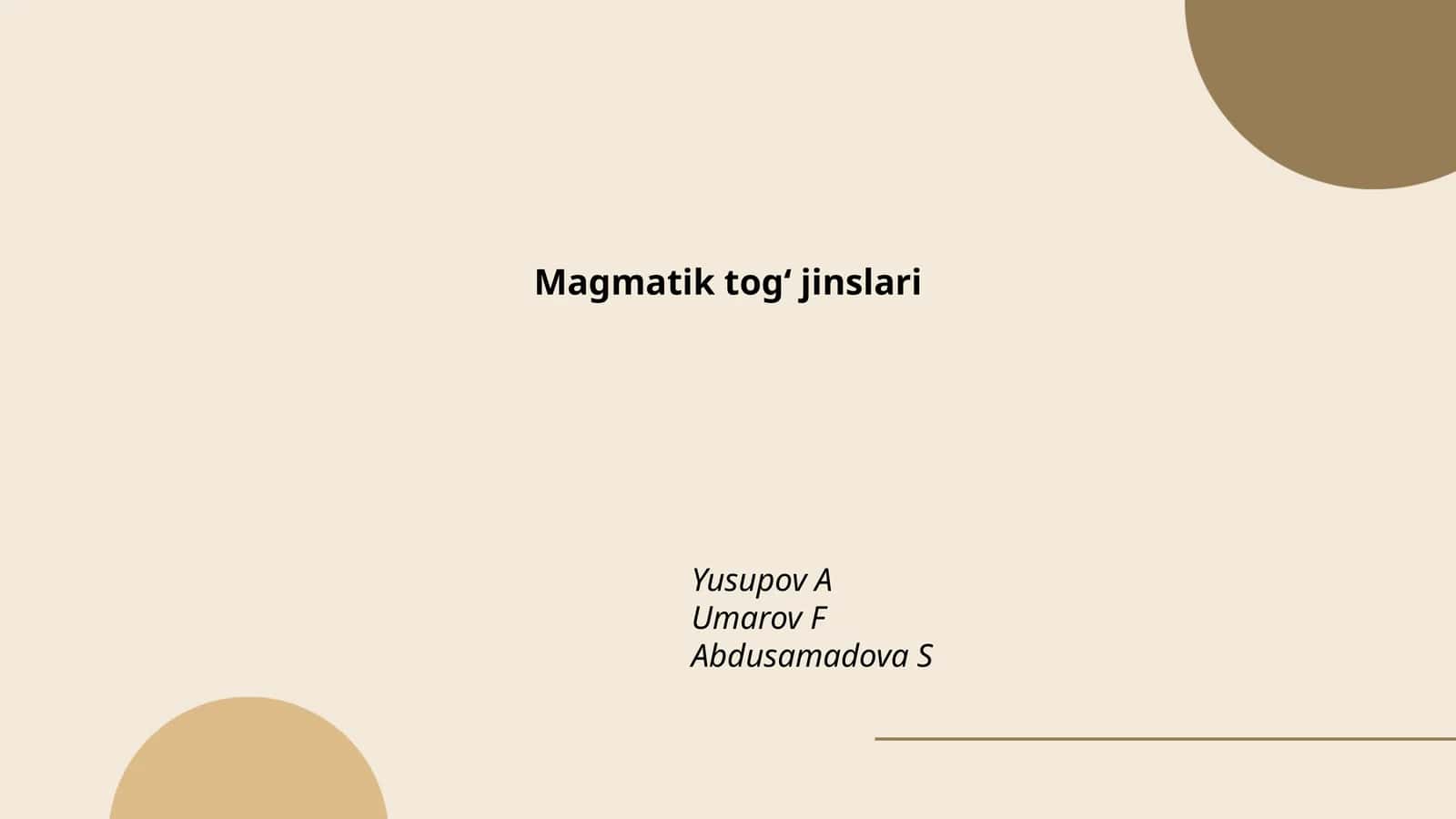 Magmatik togʻ jinslari