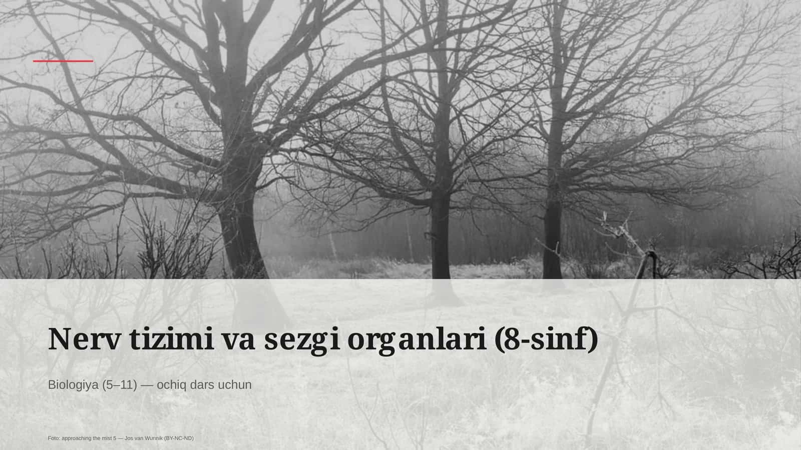 Nerv tizimi va sezgi organlari (8-sinf)