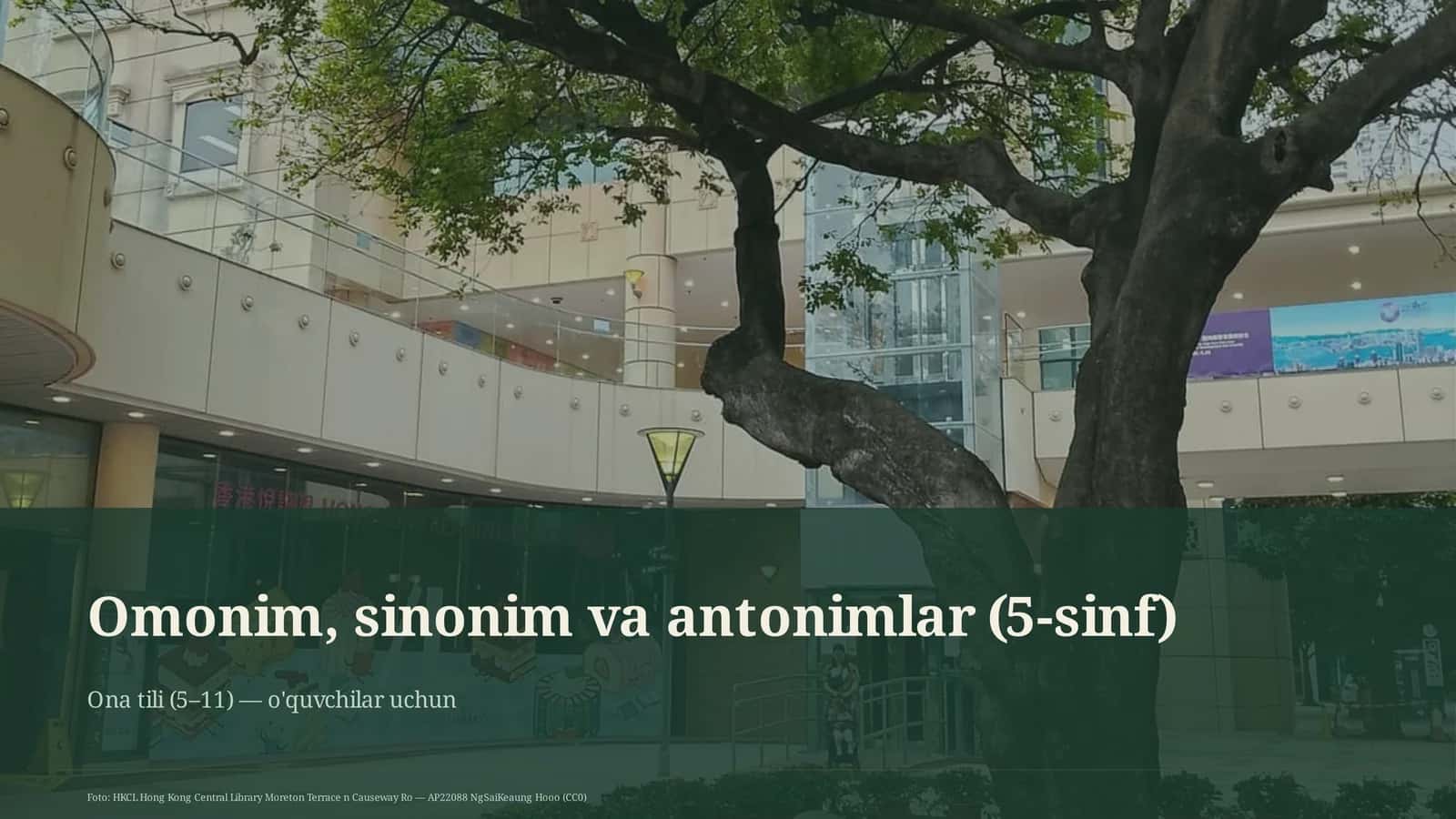 Omonim, sinonim va antonimlar (5-sinf)