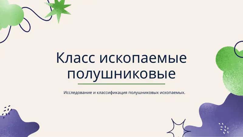 Класс ископаемыеполушниковые