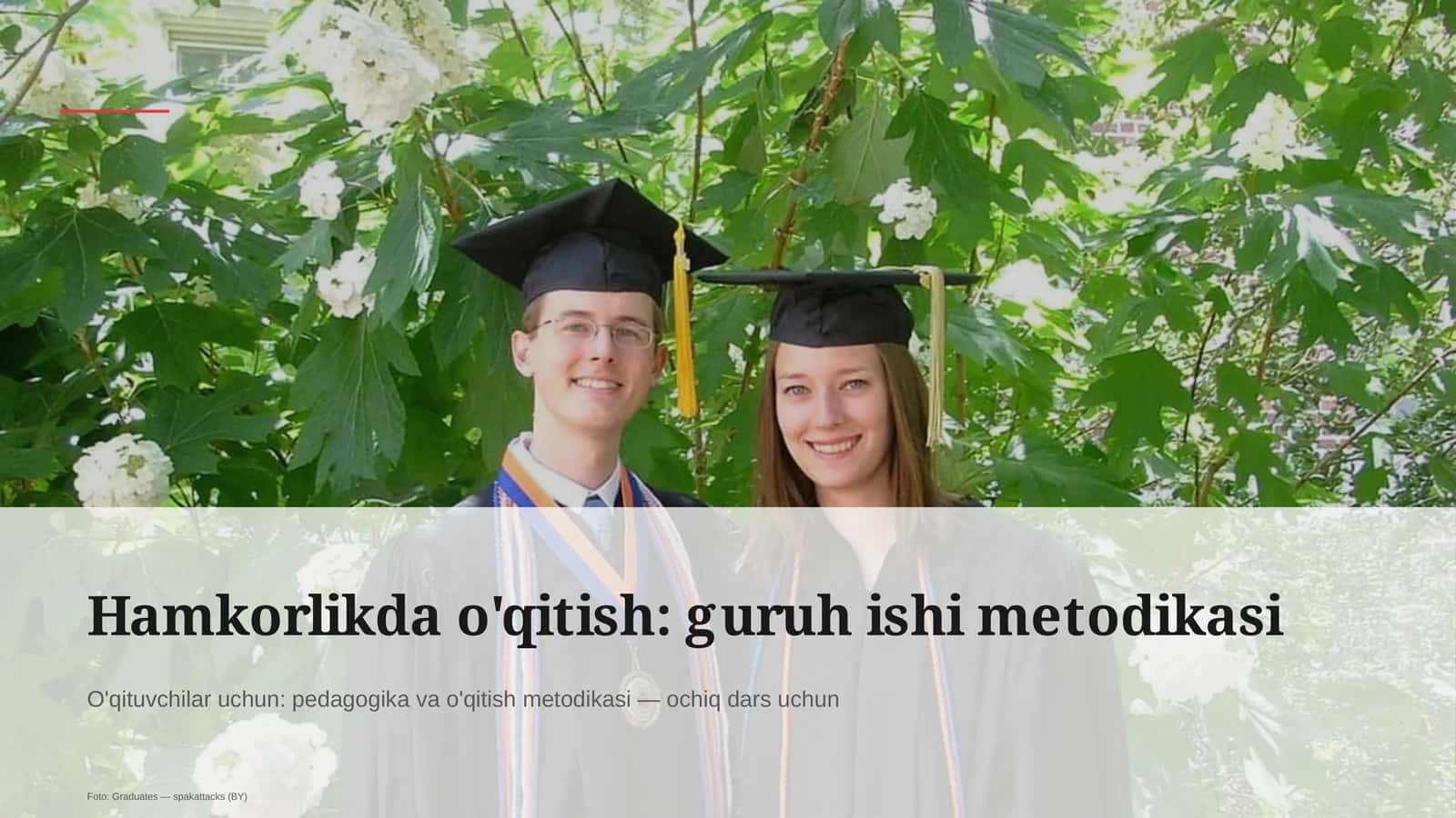 Hamkorlikda o'qitish: guruh ishi metodikasi