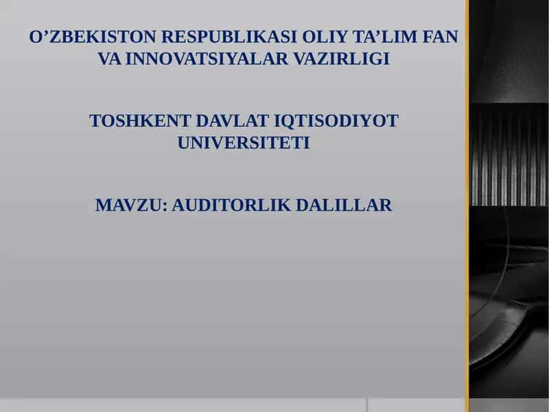 Auditorlik Dalillar