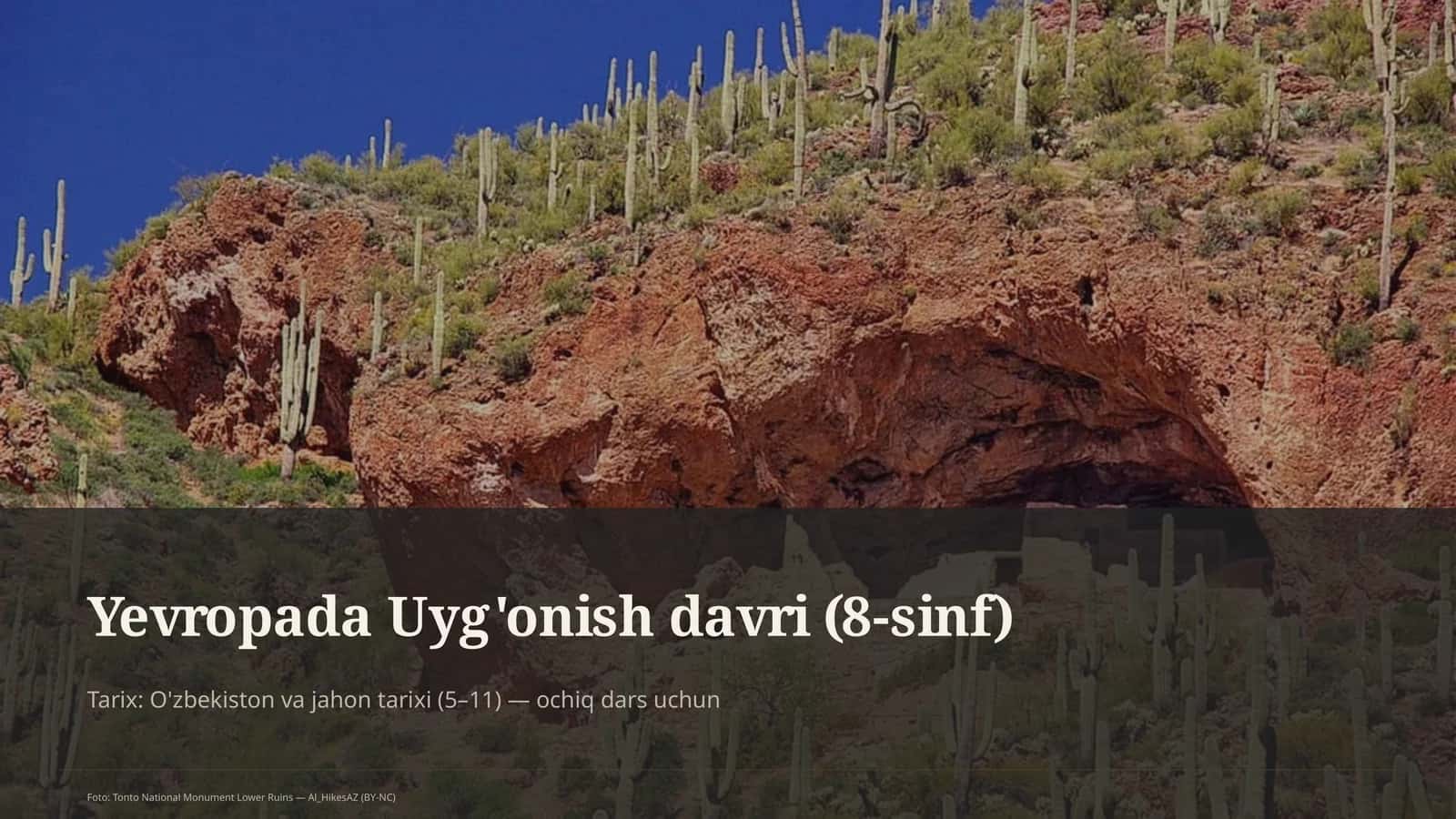 Yevropada Uyg'onish davri (8-sinf)