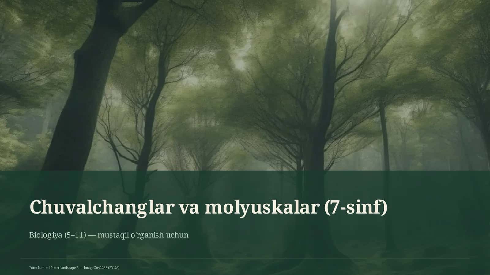 Chuvalchanglar va molyuskalar (7-sinf)