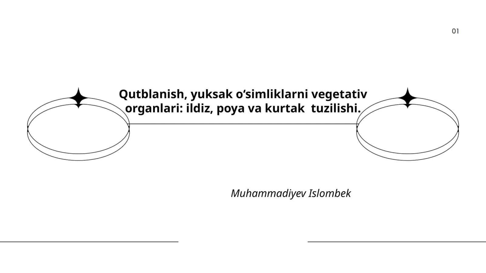 Qutblanish, yuksak o‘simliklarni vegetativ organlari: ildiz, poya va kurtak tuzilishi