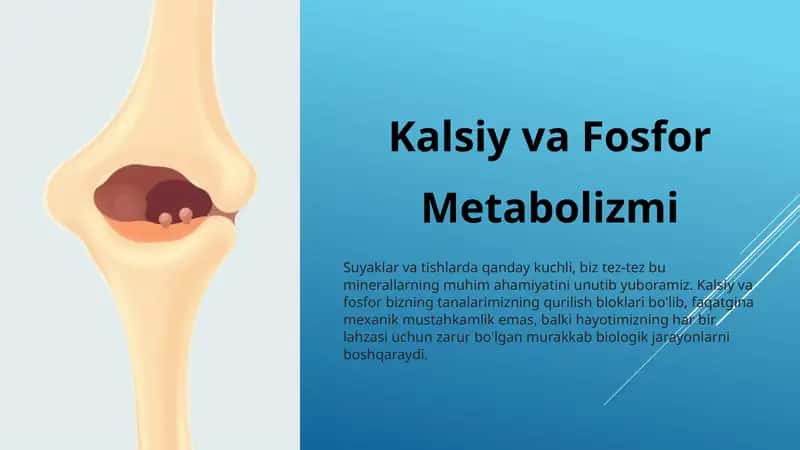 Kalsiy va Fosfor metabolizmi