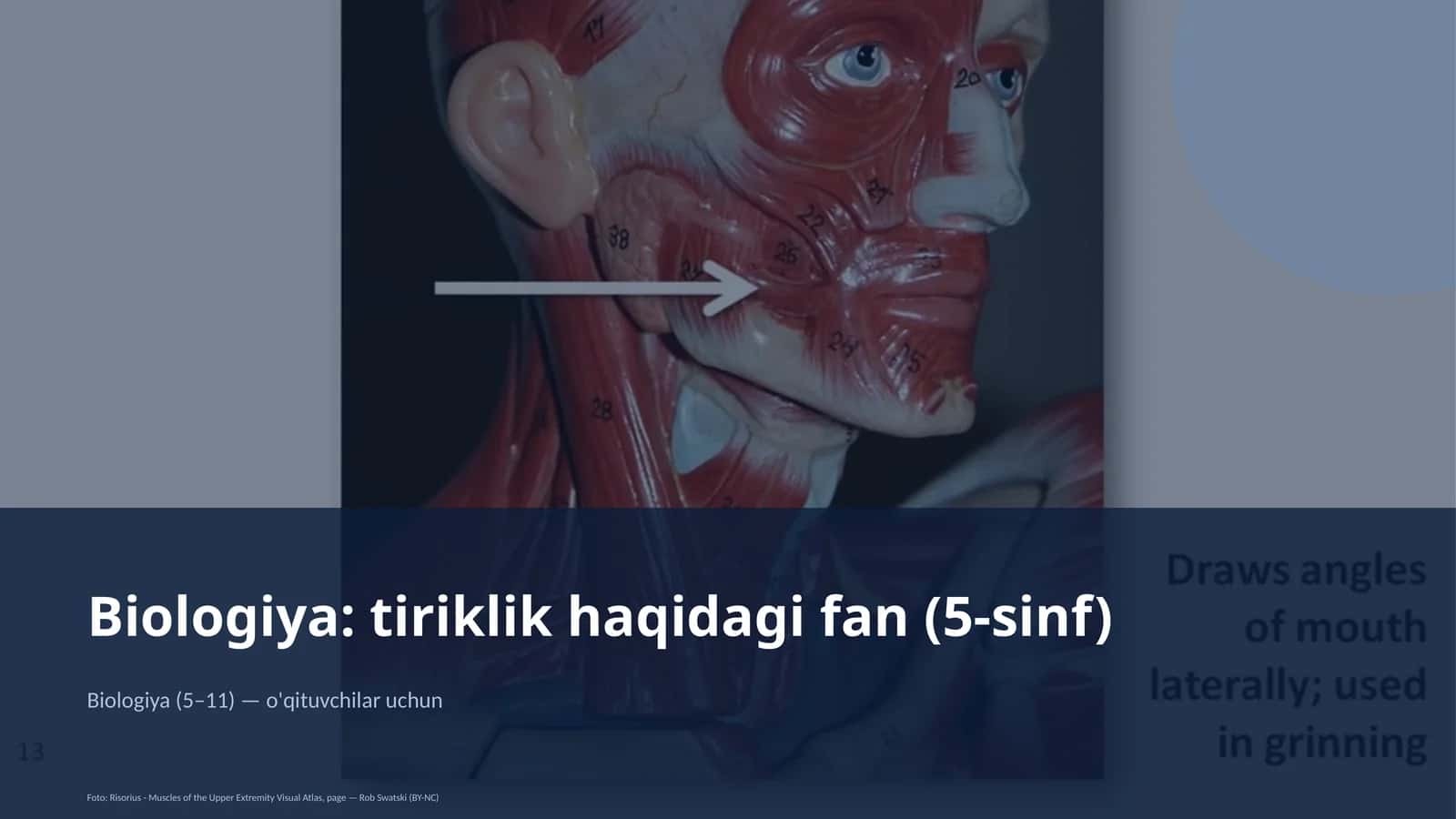 Biologiya: tiriklik haqidagi fan (5-sinf)