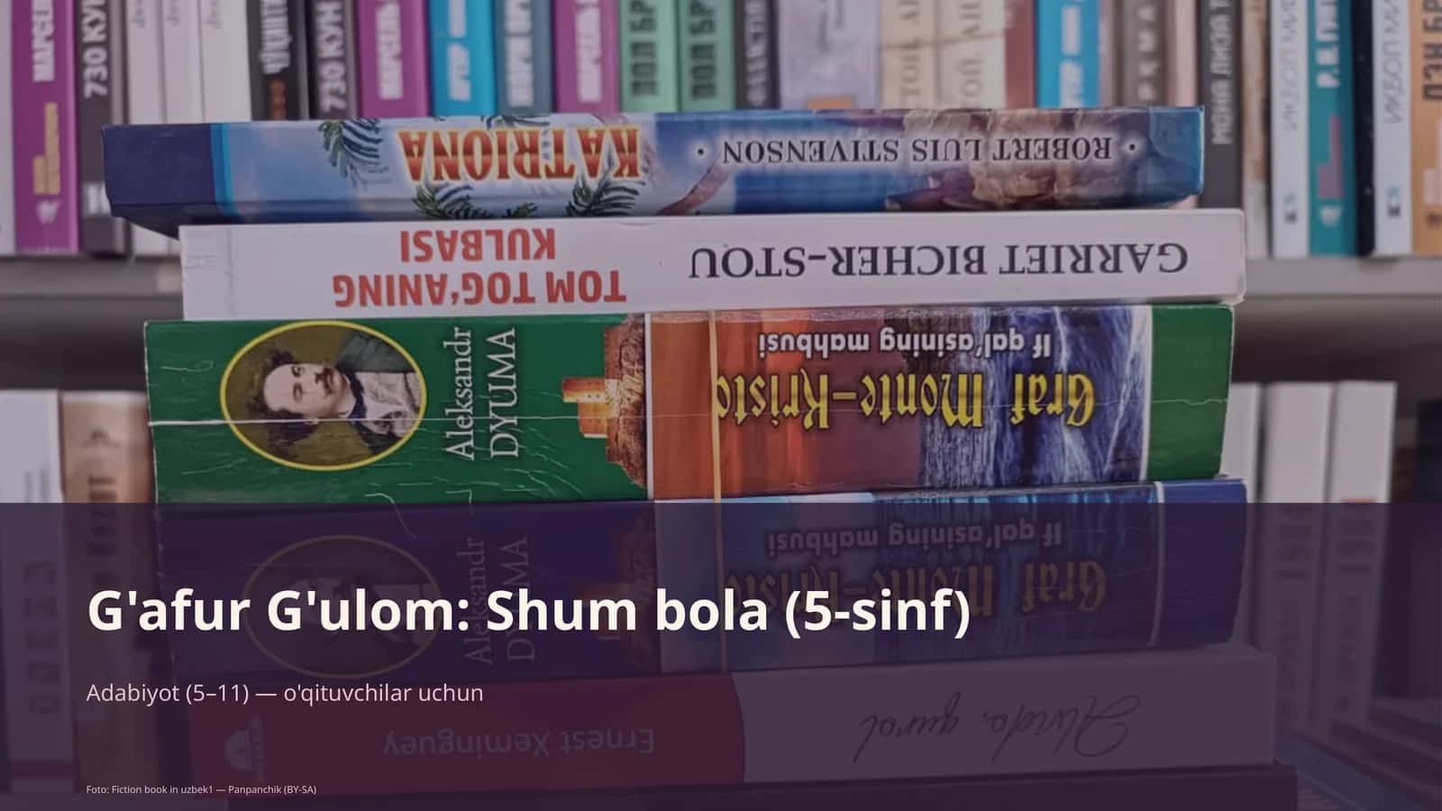 G'afur G'ulom: Shum bola (5-sinf)