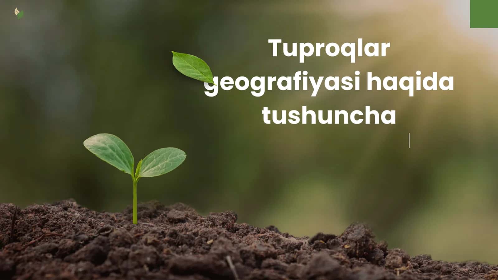 Tuproqlar geografiyasi