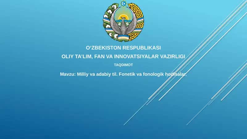 Milliy va adabiy til