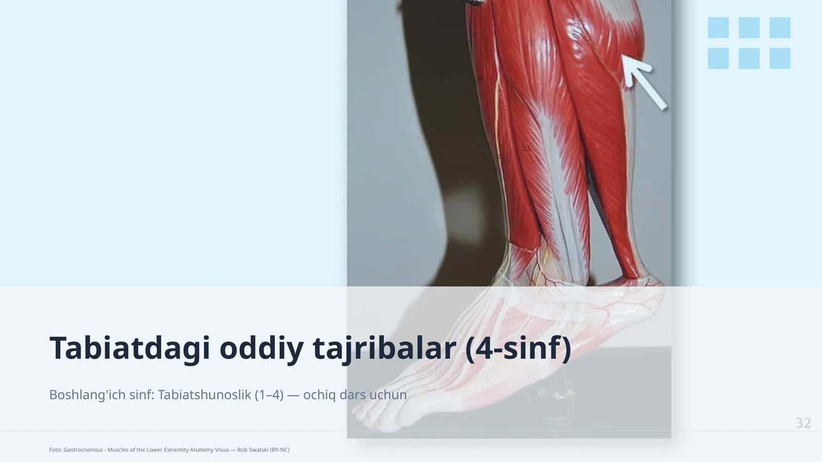 Tabiatdagi oddiy tajribalar (4-sinf)