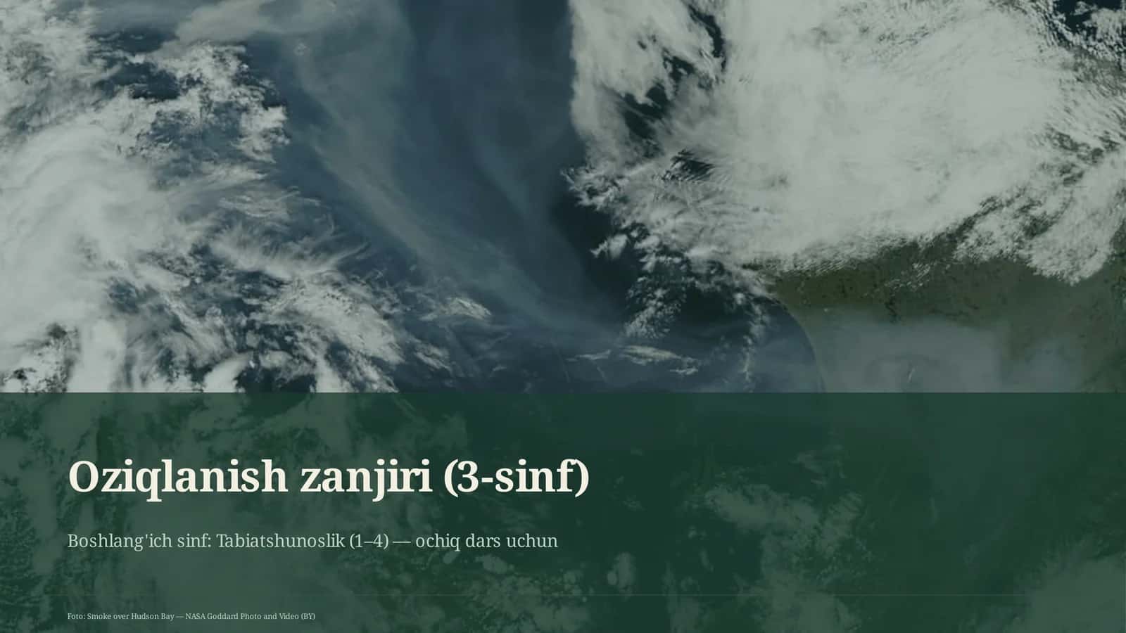 Oziqlanish zanjiri (3-sinf)