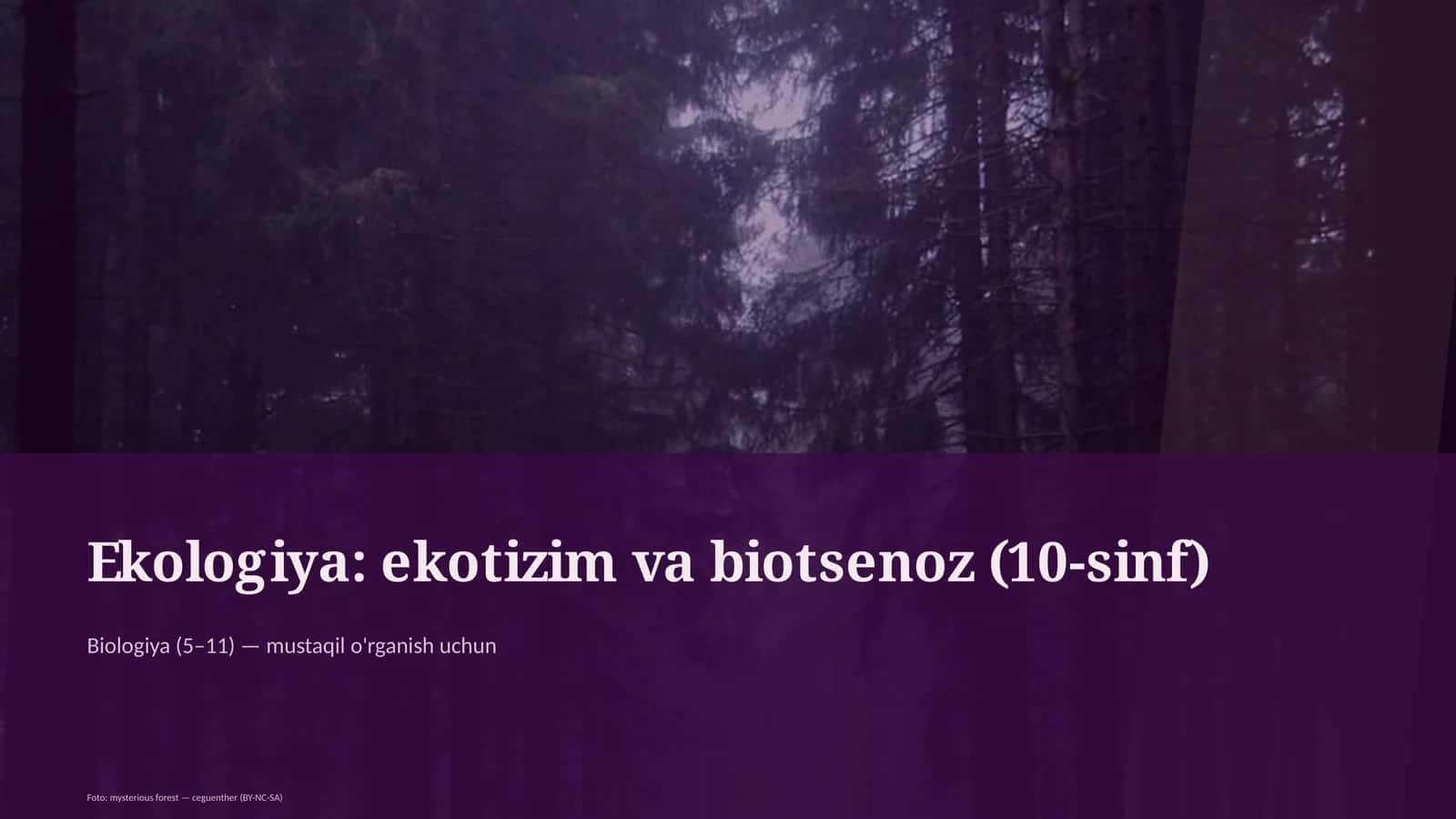 Ekologiya: ekotizim va biotsenoz (10-sinf)