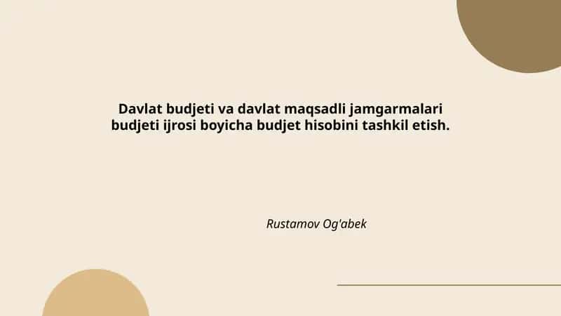 Davlat budjeti va davlat maqsadli jamgarmalari budjeti ijrosi boyicha budjet hisobini tashkil etish