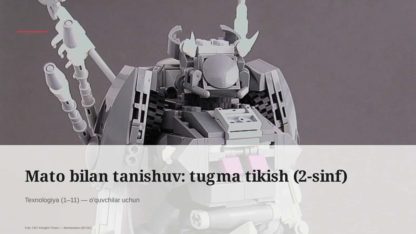 Mato bilan tanishuv: tugma tikish (2-sinf)