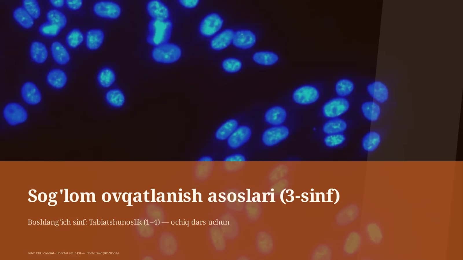 Sog'lom ovqatlanish asoslari (3-sinf)