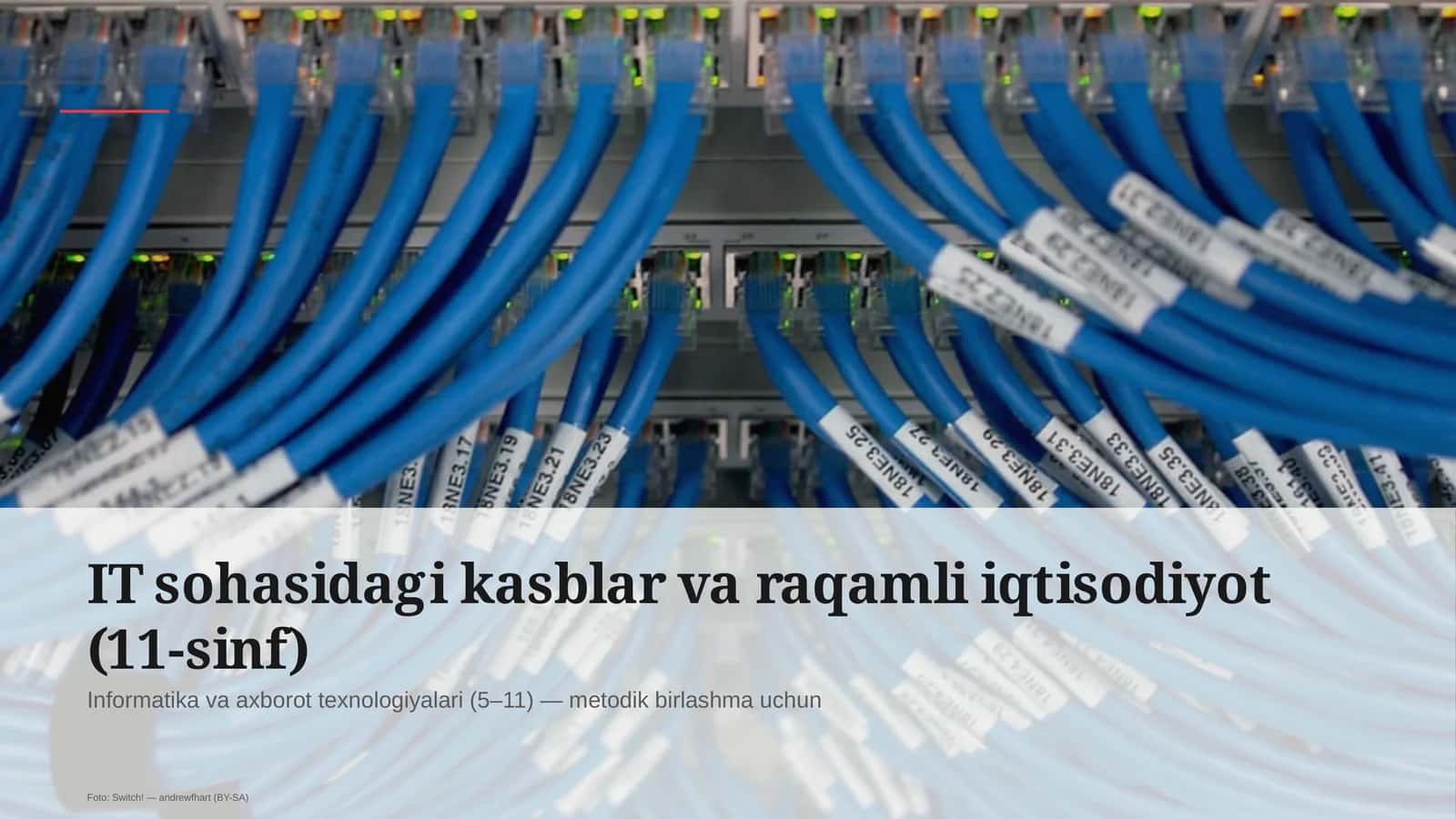 IT sohasidagi kasblar va raqamli iqtisodiyot (11-sinf)