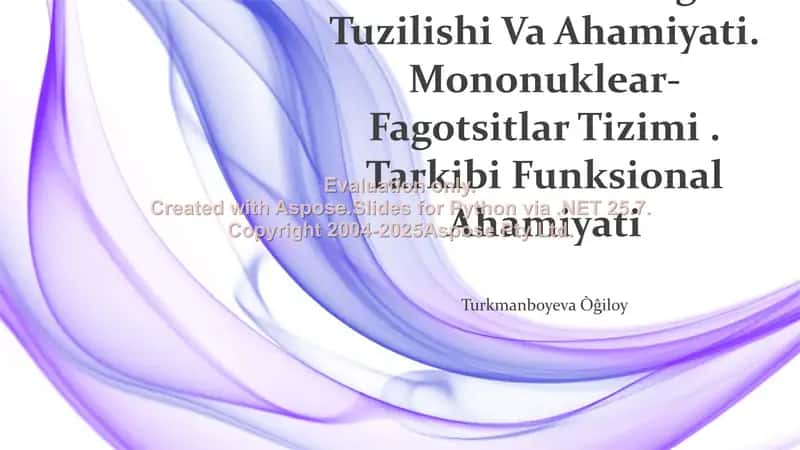 Mezenximaning Tuzilishi Va Ahamiyati. Mononuklear-Fagotsitlar Tizimi. Tarkibi Funksional Ahamiyati