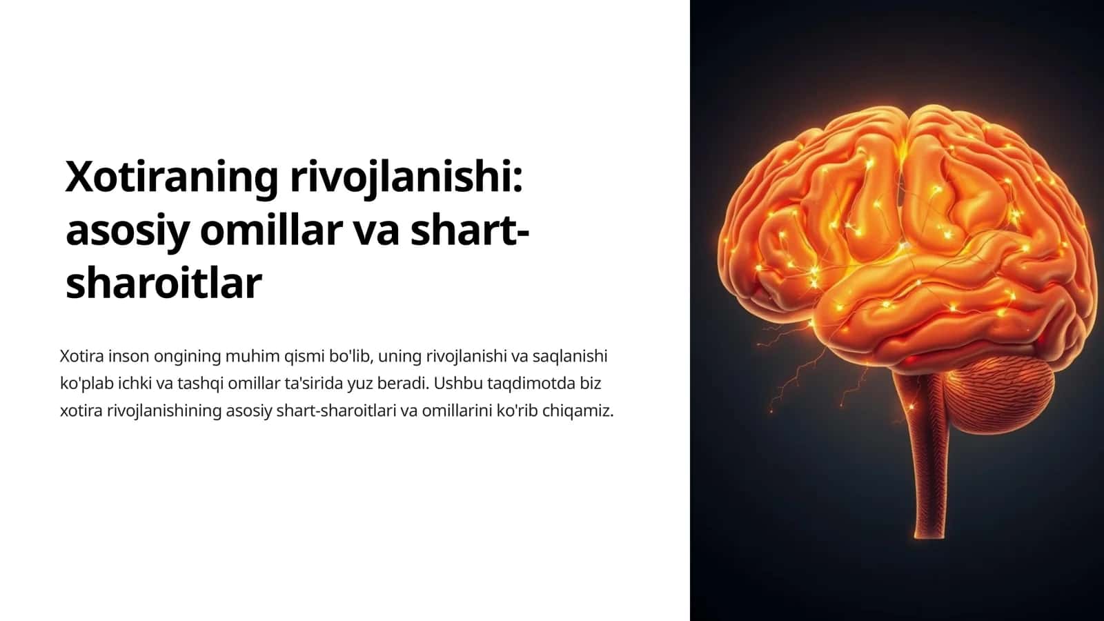 Xotiraning rivojlanishi: asosiy omillar va shart-sharoitlar