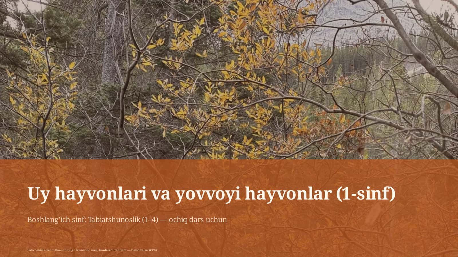 Uy hayvonlari va yovvoyi hayvonlar (1-sinf)