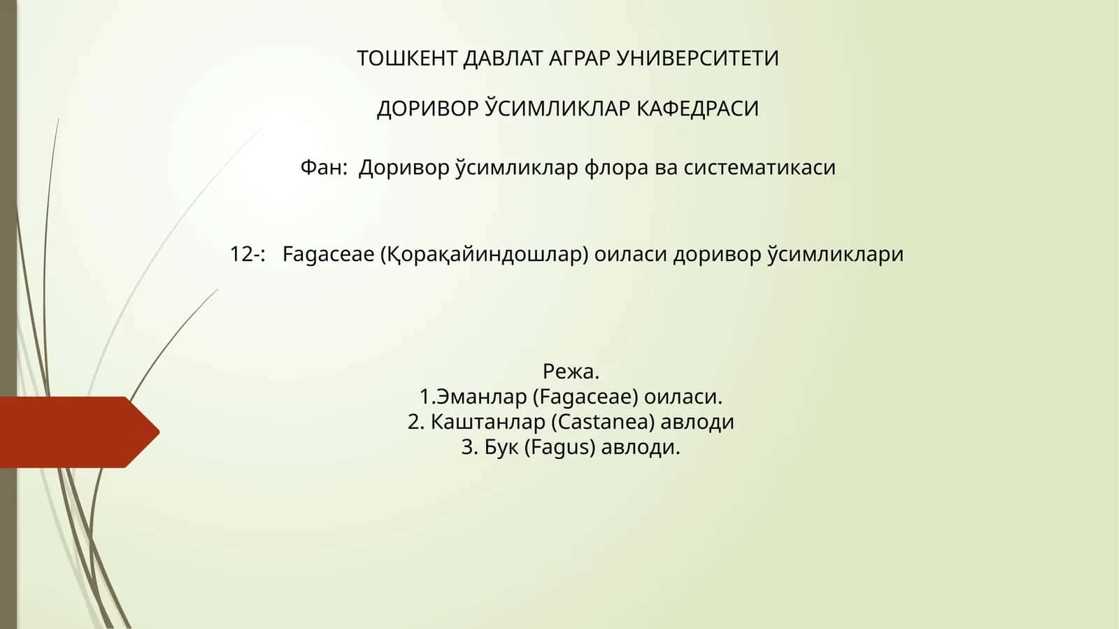 Fagaceae (Қорақайиндошлар) оиласи доривор ўсимликлари
